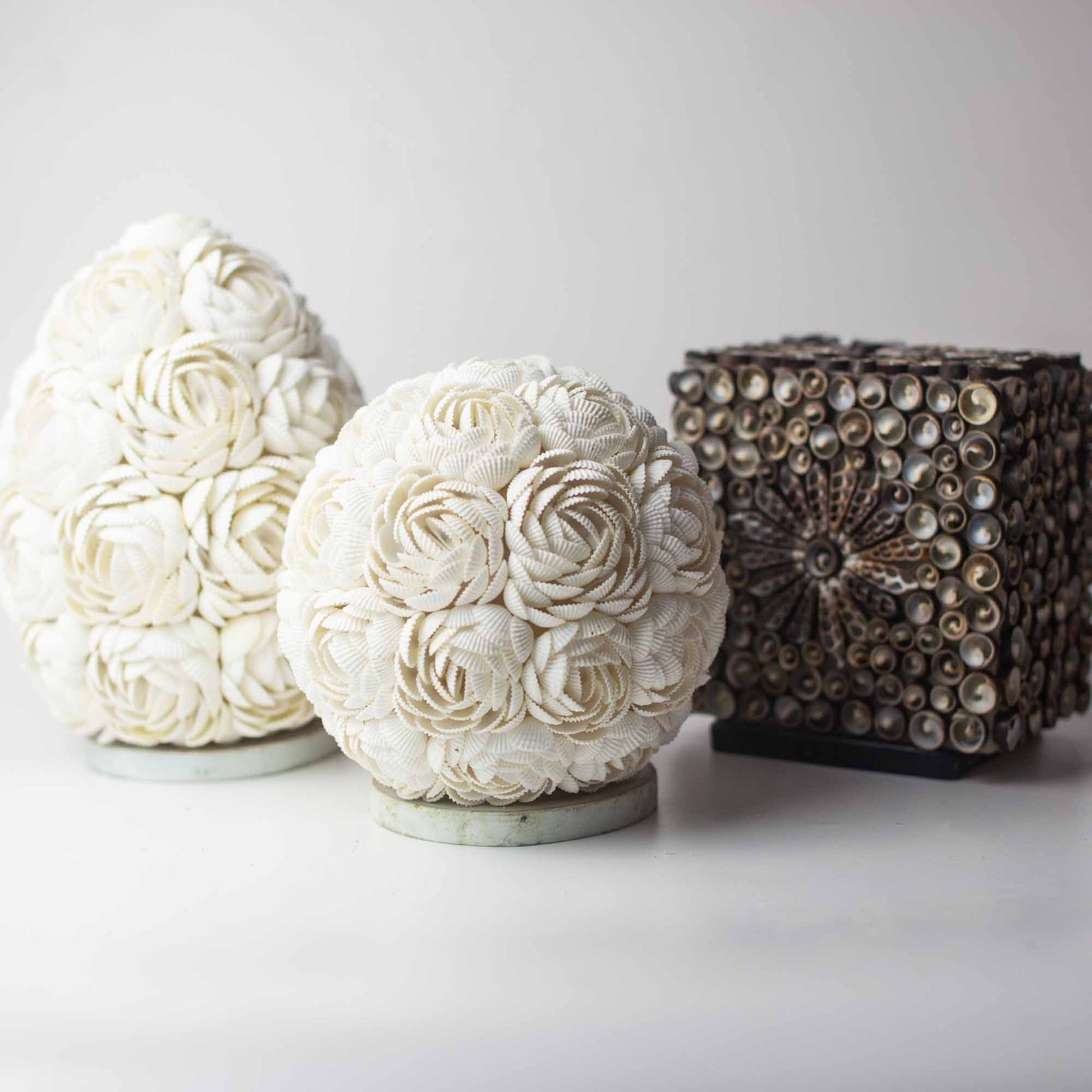 Boho Sea Shell Lamp - Chocolate Twist Globe - 15cm