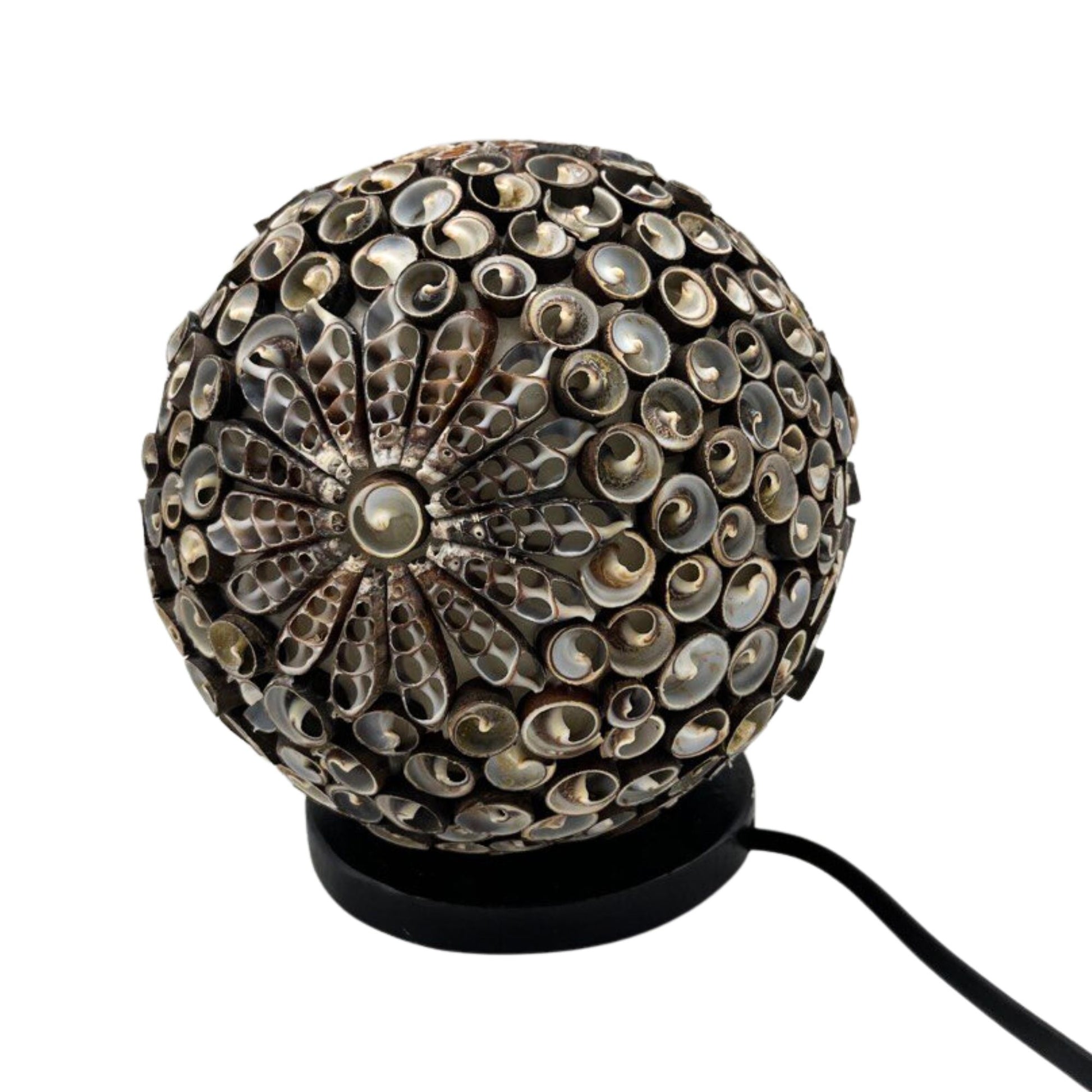 Boho Sea Shell Lamp - Chocolate Twist Globe - 15cm